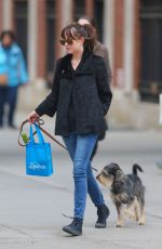 DAKOTA JOHNSON Walks Her Dog Out in Bew York