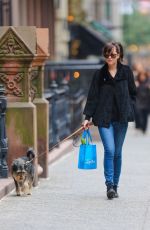 DAKOTA JOHNSON Walks Her Dog Out in Bew York