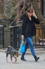 DAKOTA JOHNSON Walks Her Dog Out in Bew York