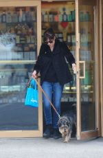 DAKOTA JOHNSON Walks Her Dog Out in Bew York