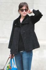 DAKOTA JOHNSON Walks Her Dog Out in Bew York