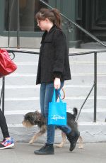 DAKOTA JOHNSON Walks Her Dog Out in Bew York