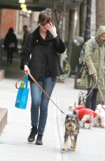 DAKOTA JOHNSON Walks Her Dog Out in Bew York