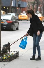 DAKOTA JOHNSON Walks Her Dog Out in Bew York