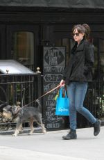DAKOTA JOHNSON Walks Her Dog Out in Bew York