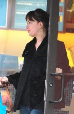 DAKOTA JOHNSON Walks Her Dog Out in Bew York