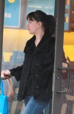 DAKOTA JOHNSON Walks Her Dog Out in Bew York