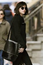 DAKOTA JOHNSON Walks Her Dog Out in Manhattan