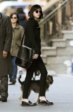DAKOTA JOHNSON Walks Her Dog Out in Manhattan