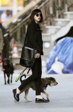 DAKOTA JOHNSON Walks Her Dog Out in Manhattan