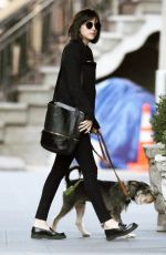 DAKOTA JOHNSON Walks Her Dog Out in Manhattan