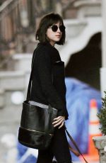 DAKOTA JOHNSON Walks Her Dog Out in Manhattan