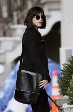 DAKOTA JOHNSON Walks Her Dog Out in Manhattan