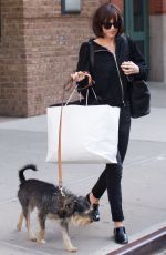 DAKOTA JOHNSON Walks Her Dog Out in New York 04/19/2015