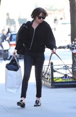 DAKOTA JOHNSON Walks Her Dog Out in New York 04/19/2015