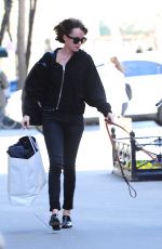 DAKOTA JOHNSON Walks Her Dog Out in New York 04/19/2015