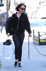 DAKOTA JOHNSON Walks Her Dog Out in New York 04/19/2015