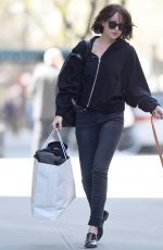 DAKOTA JOHNSON Walks Her Dog Out in New York 04/19/2015