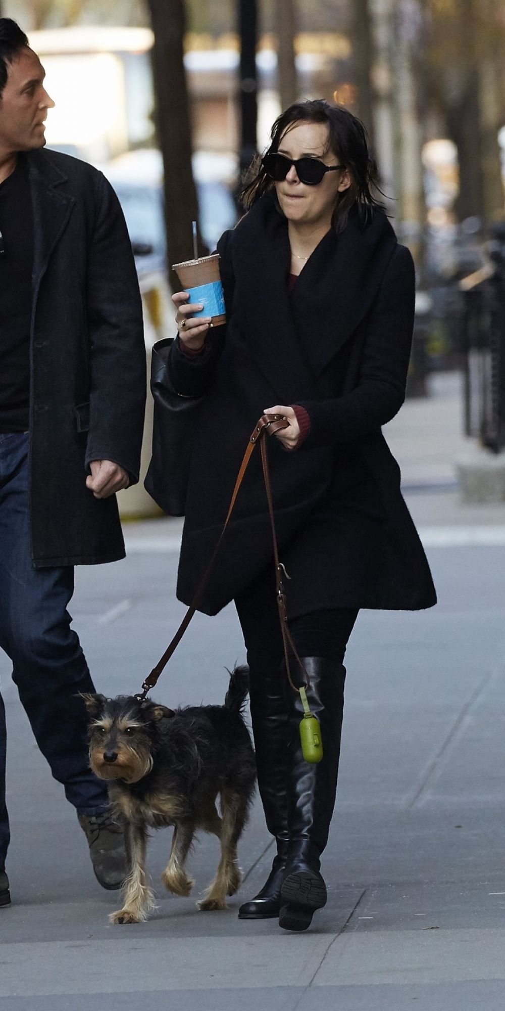 DAKOTA JOHNSON Walks Her Dog Out in New York 04/24/2015 DAKOTA JOHNSON Walks Her Dog Out in New York 04/24/2015