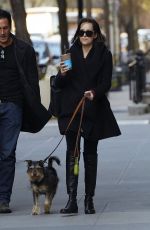 DAKOTA JOHNSON Walks Her Dog Out in New York 04/24/2015