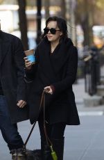 DAKOTA JOHNSON Walks Her Dog Out in New York 04/24/2015