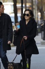 DAKOTA JOHNSON Walks Her Dog Out in New York 04/24/2015