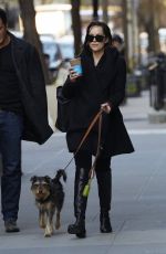 DAKOTA JOHNSON Walks Her Dog Out in New York 04/24/2015