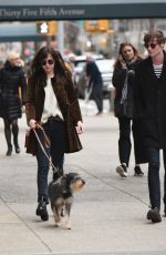 DAKOTA JOHNSON Walks Her Dog Out in New York