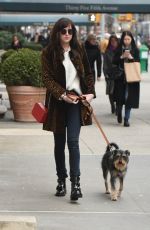 DAKOTA JOHNSON Walks Her Dog Out in New York