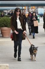 DAKOTA JOHNSON Walks Her Dog Out in New York