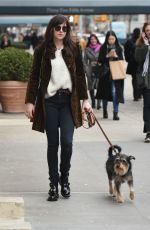 DAKOTA JOHNSON Walks Her Dog Out in New York