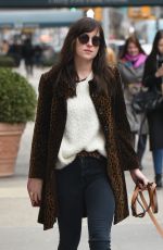 DAKOTA JOHNSON Walks Her Dog Out in New York