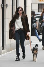 DAKOTA JOHNSON Walks Her Dog Out in New York