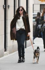 DAKOTA JOHNSON Walks Her Dog Out in New York