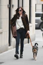 DAKOTA JOHNSON Walks Her Dog Out in New York