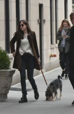 DAKOTA JOHNSON Walks Her Dog Out in New York