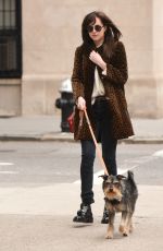 DAKOTA JOHNSON Walks Her Dog Out in New York