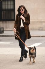 DAKOTA JOHNSON Walks Her Dog Out in New York