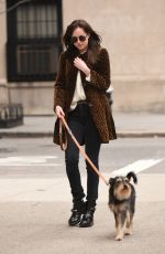 DAKOTA JOHNSON Walks Her Dog Out in New York