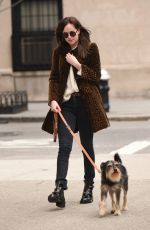 DAKOTA JOHNSON Walks Her Dog Out in New York