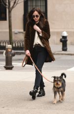 DAKOTA JOHNSON Walks Her Dog Out in New York