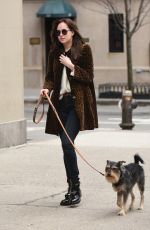 DAKOTA JOHNSON Walks Her Dog Out in New York