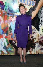DIANE LANE at The Mystery of Love and Sex Opening Night in New York