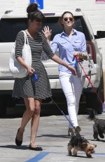 EMMY ROSSUM Takes Her Dog to a Vet in West Hollywood