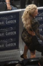 HAYDEN PANETTIERE at Klitschko World Heavyweight Championship Fight in New York