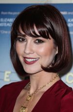 MARY ELIZABETH WINSTEAD at Alex of Venice Premiere in Los Angeles