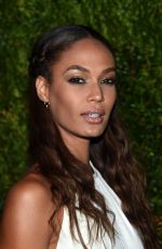 JOAN SMALLS at Chanel Dinner at Tribeca Film Festival in New York