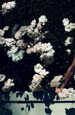KRISTEN WIIG - Violet Grey Photoshoot