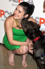 LAKE BELL at Aspca Hosts 18th Annual Bergh Ball in New York