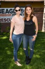 MARIA MENOUNOS at Beagle Freedom Project in Valley Village